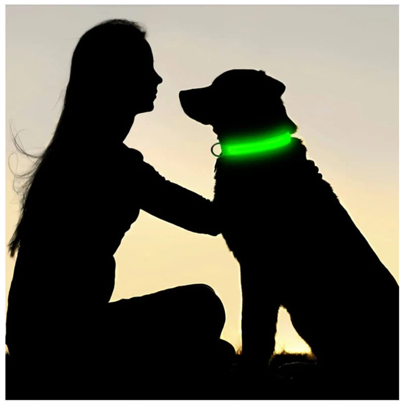 Collare LED per cani, porta di ricarica USB