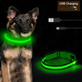 Collare LED ricaricabile per cani acceso al buio