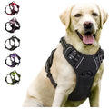 Kit Passeggiata: pettorina anti-tiro riflettente