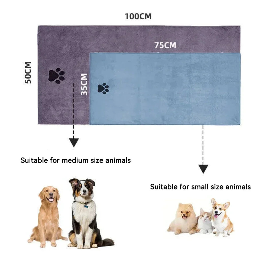 Cane asciugato con l'asciugamano in microfibra