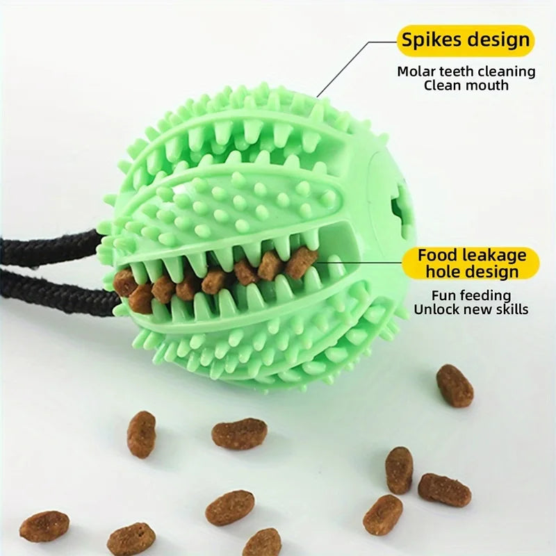 Cane che gioca con la palla dispenser fissata al pavimento