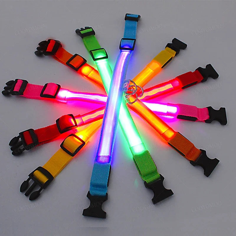 Collare LED per cani, dettaglio della striscia luminosa