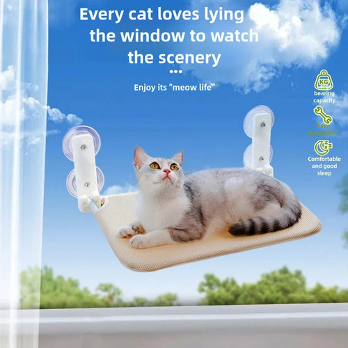 Gatto sull'amaca da finestra